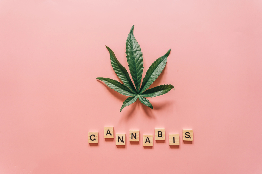 Easing Into Cannabis with PPM: Top Strains That Deliver Sustainable Energy