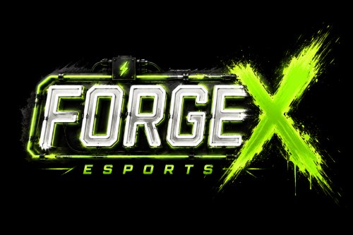 ForgeX The Ultimate To Extreme Sports and Esports