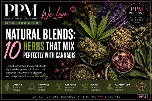 10 Herbs That Bring a Different Vibe to Your Cannabis Ritual
