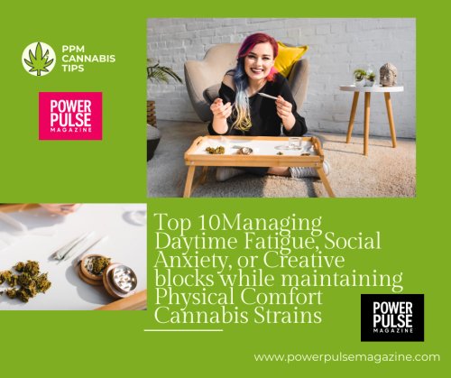 Top 10 Managing Daytime Fatigue, Social Anxiety, or Creative Blocks while maintaining Physical Comfort